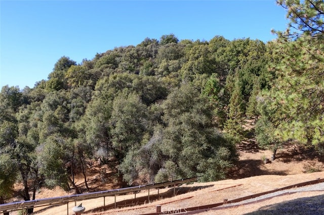 35484 Rd 274, North Fork, CA 93643 - view of wooded area