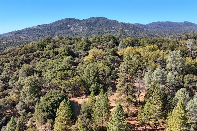 35484 Rd 274, North Fork, CA 93643 - view of mountain backdrop with a heavily wooded area