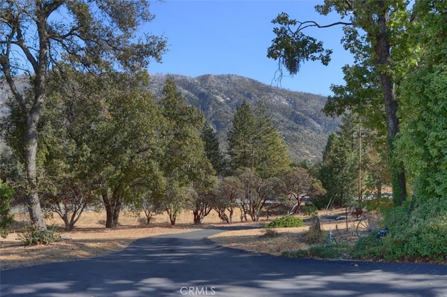 35484 Rd 274, North Fork, CA 93643 - view of road featuring a mountain view