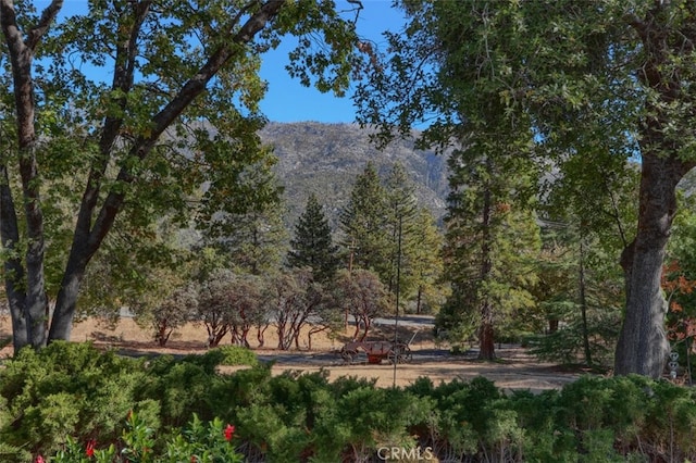 35484 Rd 274, North Fork, CA 93643 - mountain view