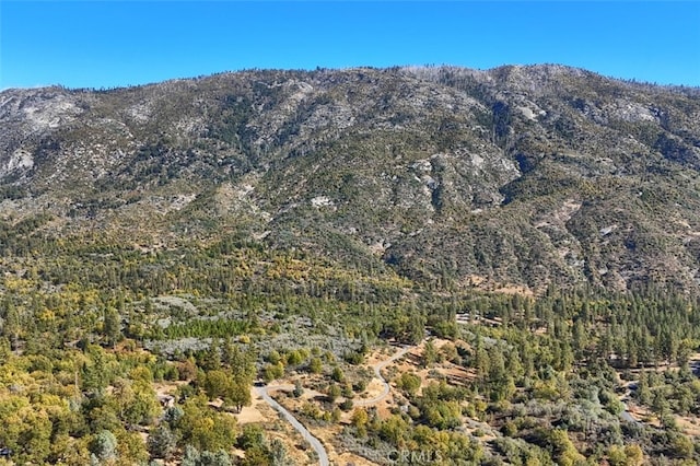 35484 Rd 274, North Fork, CA 93643 - view of mountain backdrop with a forest