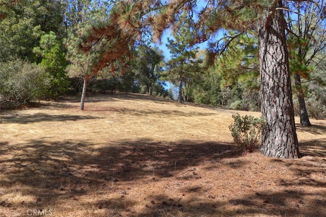 35484 Rd 274, North Fork, CA 93643 - view of yard