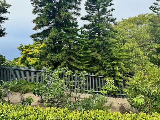 766 Pelican Dr, Laguna Beach, CA 92651 - view of yard