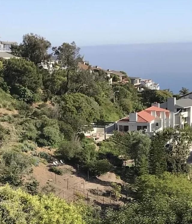 766 Pelican Dr, Laguna Beach, CA 92651 - view of yard