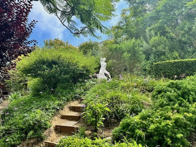 766 Pelican Dr, Laguna Beach, CA 92651 - view of yard