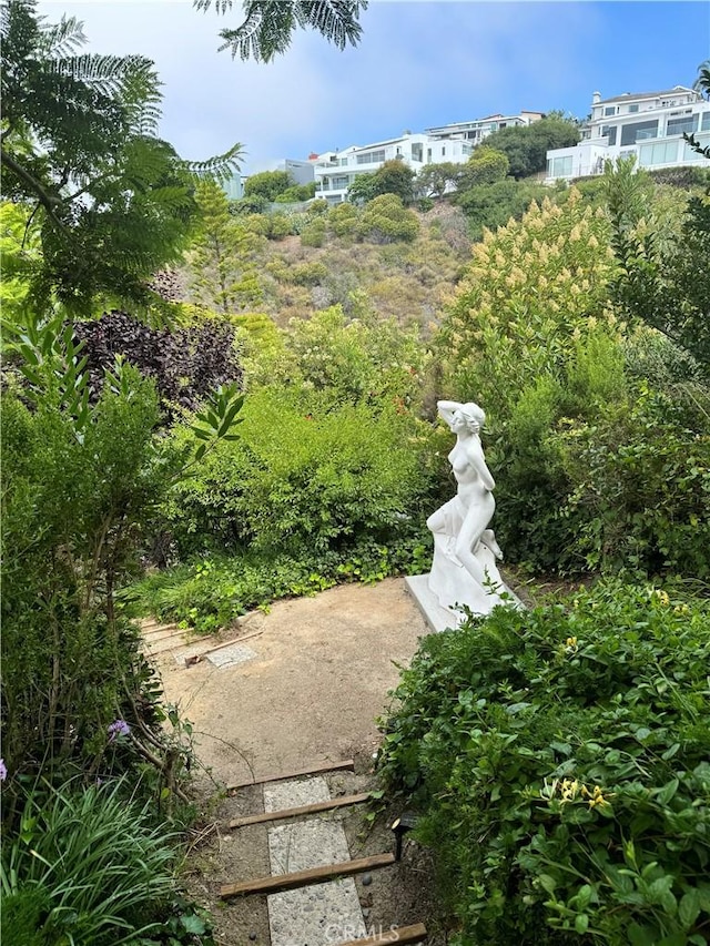 766 Pelican Dr, Laguna Beach, CA 92651 - view of yard
