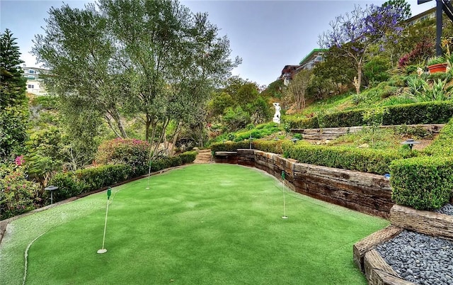 766 Pelican Dr, Laguna Beach, CA 92651 - view of community with an area to practice putting