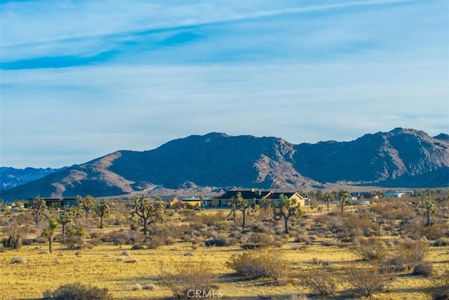 2654 Olympic Rd, Joshua Tree, CA 92252 - view of mountain background