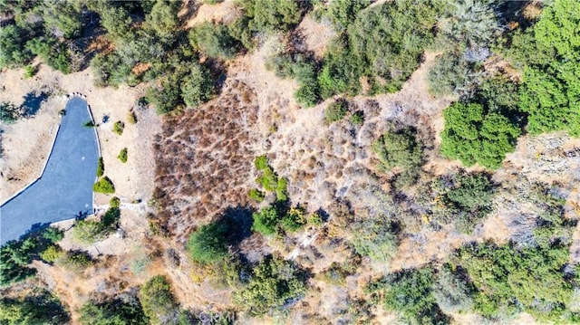 25 Woodlyn Ln, Bradbury, CA 91008