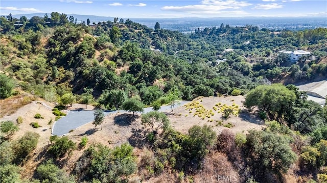 25 Woodlyn Ln, Bradbury, CA 91008