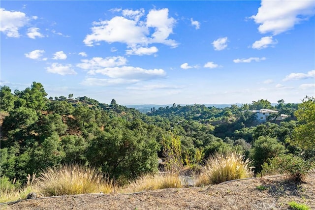 25 Woodlyn Ln, Bradbury, CA 91008
