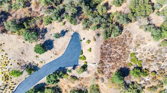 25 Woodlyn Ln, Bradbury, CA 91008