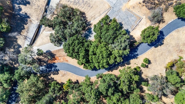 25 Woodlyn Ln, Bradbury, CA 91008