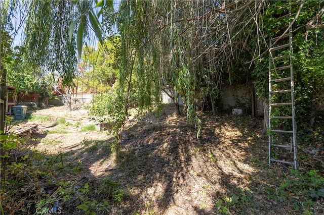3142 Keith Ave, Castro Valley, CA 94546 - view of yard