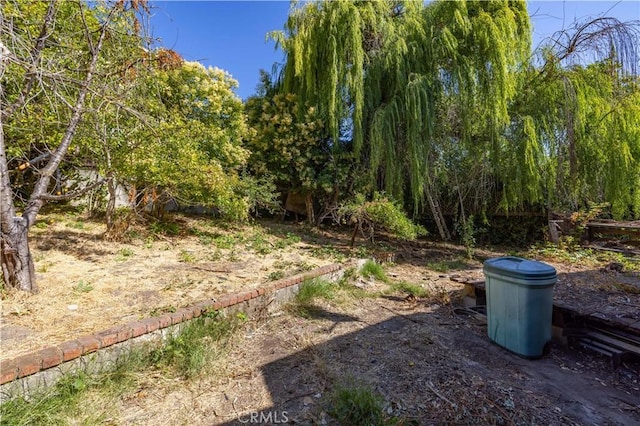 3142 Keith Ave, Castro Valley, CA 94546 - view of yard