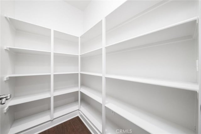 111 Spoke, Irvine, CA 92618 - view of pantry