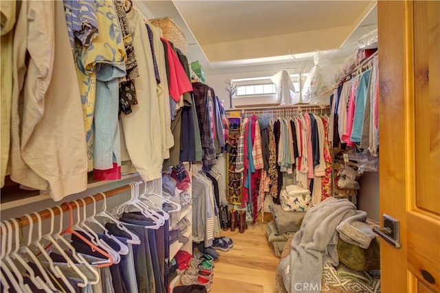670 Highland Hills Rd, Nipomo, CA 93444 - walk in closet featuring wood finished floors