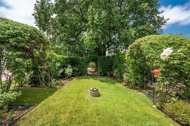 24711 Tiburon St, Valencia, CA 91355 - view of green lawn