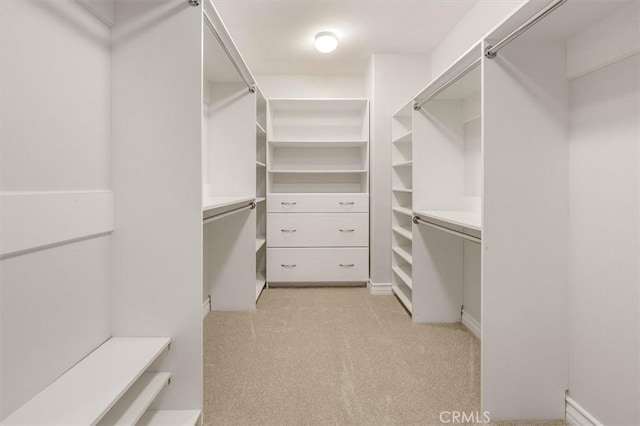 24711 Tiburon St, Valencia, CA 91355 - walk in closet with light carpet