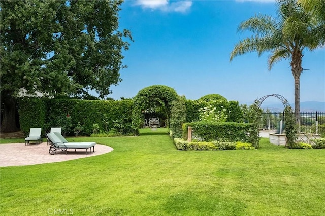 24711 Tiburon St, Valencia, CA 91355 - view of yard with a patio area