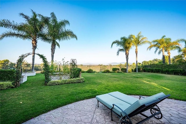 24711 Tiburon St, Valencia, CA 91355 - view of yard with a patio area