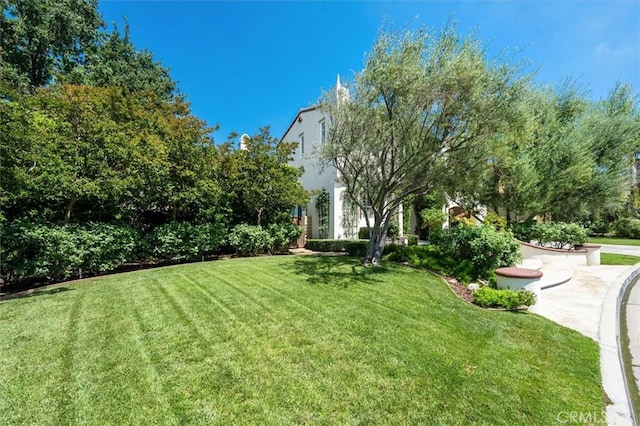 24711 Tiburon St, Valencia, CA 91355 - view of grassy yard