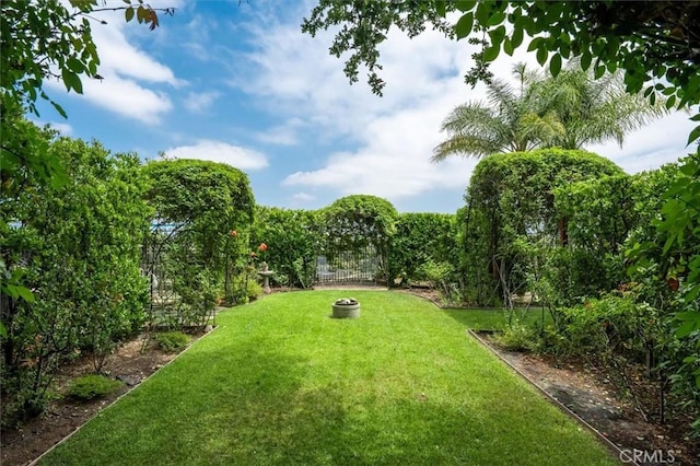 24711 Tiburon St, Valencia, CA 91355 - view of yard