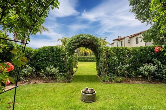24711 Tiburon St, Valencia, CA 91355 - view of green lawn