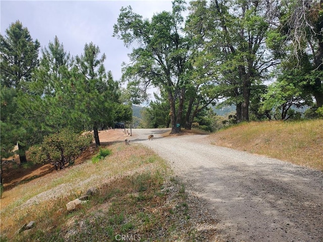535 N Dart Canyon Rd, Crestline, CA 92325 - view of road