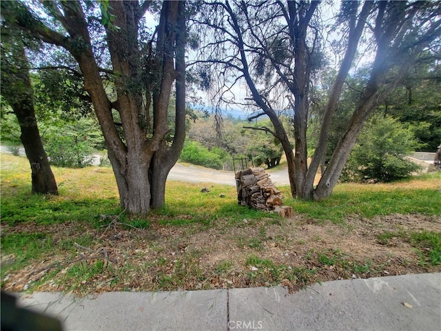 535 N Dart Canyon Rd, Crestline, CA 92325 - view of yard