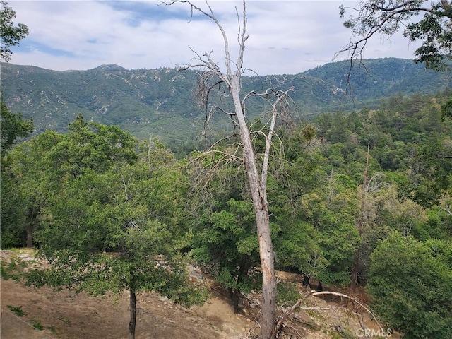 535 N Dart Canyon Rd, Crestline, CA 92325 - view of mountain backdrop with a forest