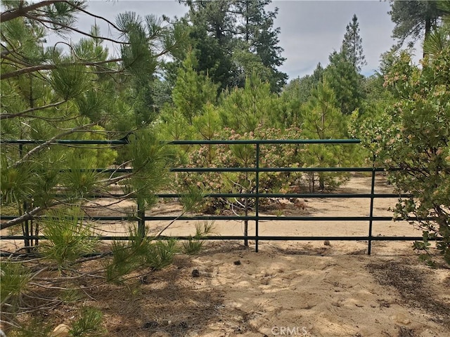 535 N Dart Canyon Rd, Crestline, CA 92325 - view of yard