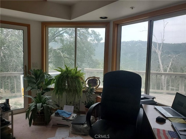 535 N Dart Canyon Rd, Crestline, CA 92325 - view of office area