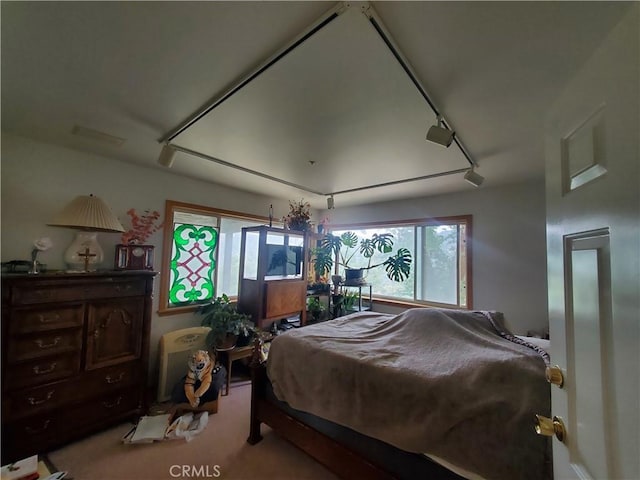 535 N Dart Canyon Rd, Crestline, CA 92325 - carpeted bedroom with rail lighting