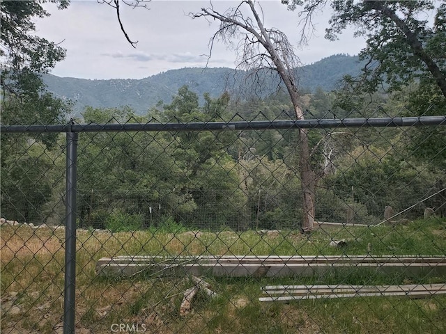 535 N Dart Canyon Rd, Crestline, CA 92325 - view of mountain background