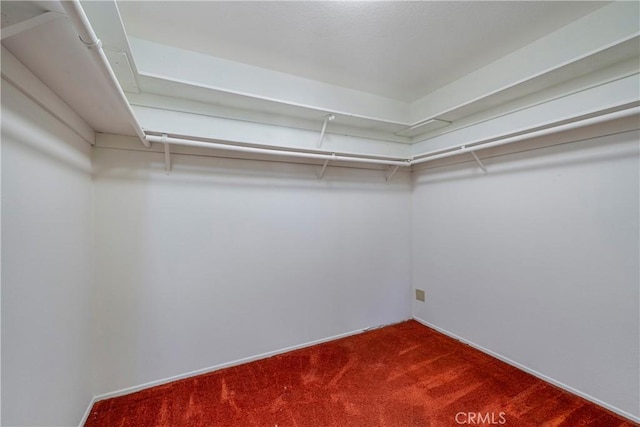 5347 E Bergh Dr, Anaheim Hills, CA 92807 - walk in closet with dark colored carpet