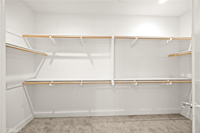 12260 Chorus Dr, Rancho Cucamonga, CA 91739 - walk in closet with light carpet