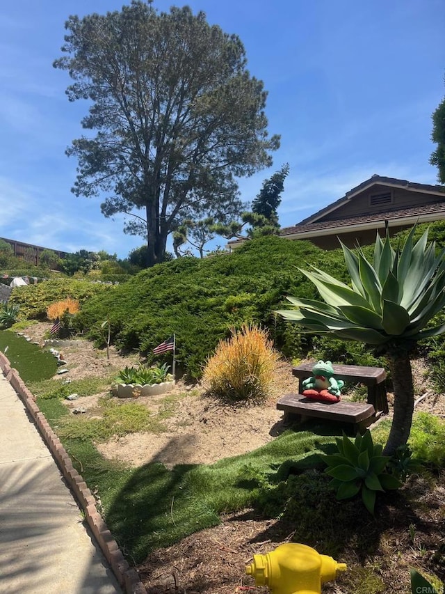 4906 Via Hinton, Carlsbad, CA 92008 - view of yard