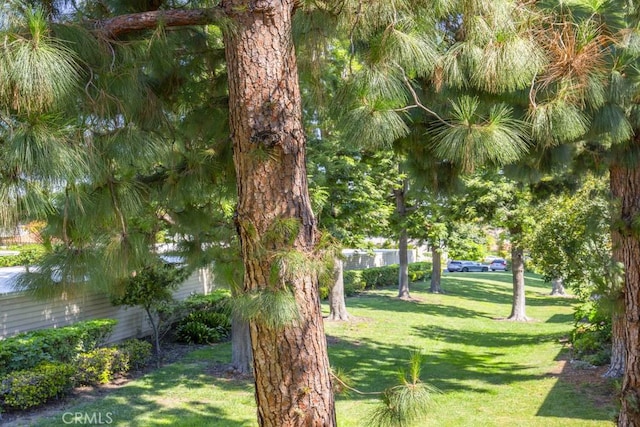 271 Avenida Sevilla Unit P, Laguna Woods, CA 92637 - view of green lawn