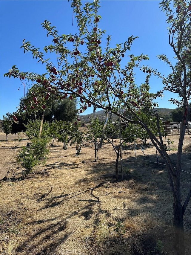 44845 Benton Rd, Hemet, CA 92544