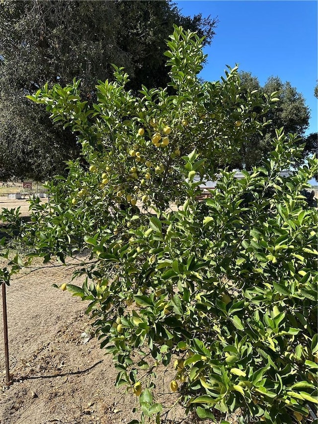 44845 Benton Rd, Hemet, CA 92544