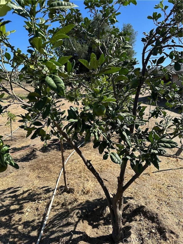 44845 Benton Rd, Hemet, CA 92544