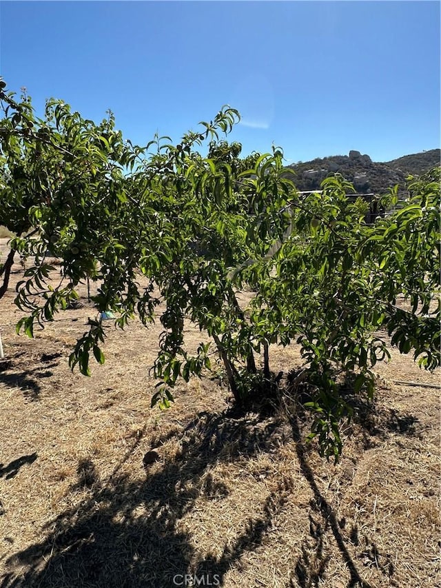 44845 Benton Rd, Hemet, CA 92544