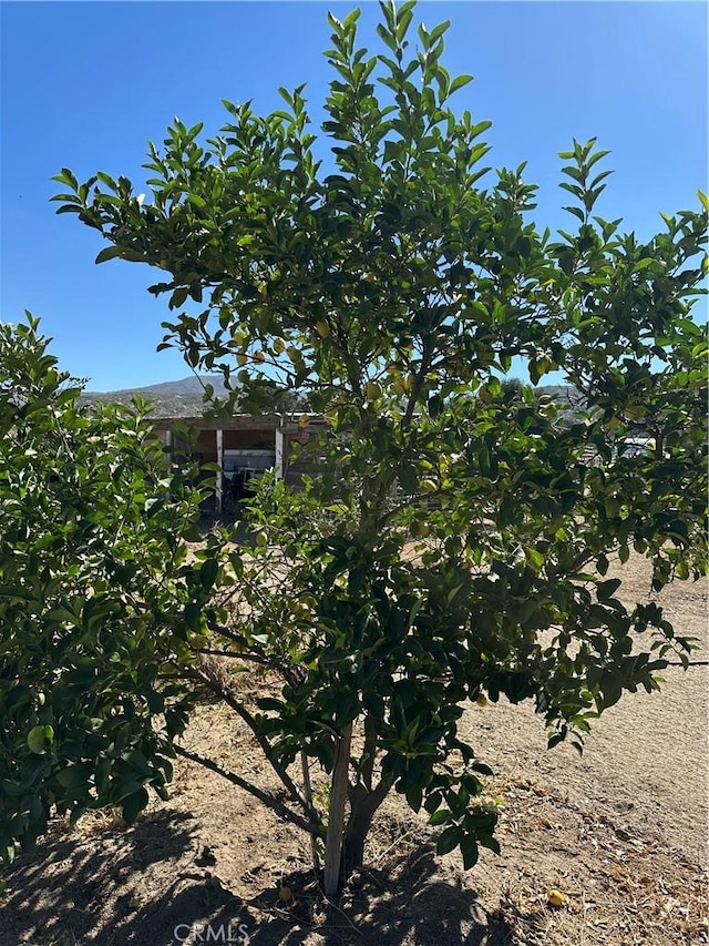 44845 Benton Rd, Hemet, CA 92544