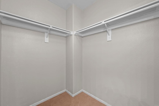 1347 Vallejo Mills St, Chula Vista, CA 91913 - walk in closet featuring carpet
