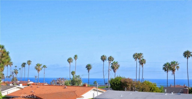 3530 Spearing Ave, San Pedro, CA 90732 - view of road