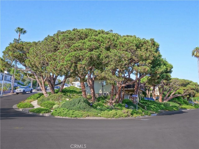 3530 Spearing Ave, San Pedro, CA 90732 - view of obstructed view of property