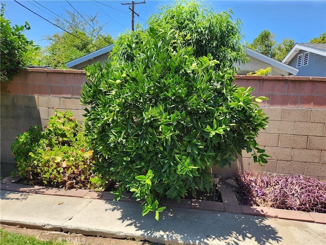 16708 Lawnwood St, La Puente, CA 91744 - view of yard