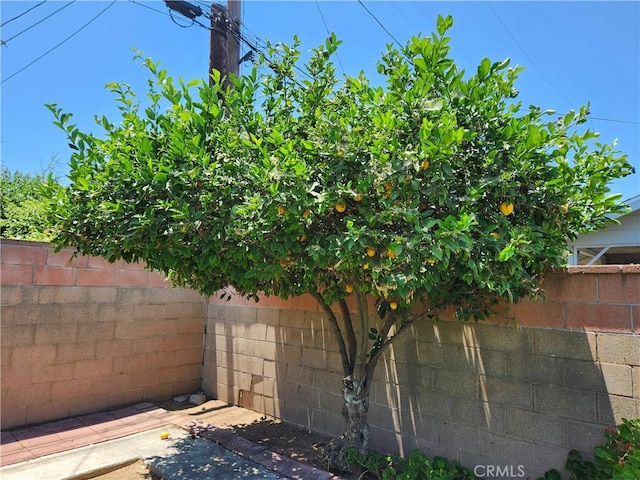 16708 Lawnwood St, La Puente, CA 91744 - exterior view