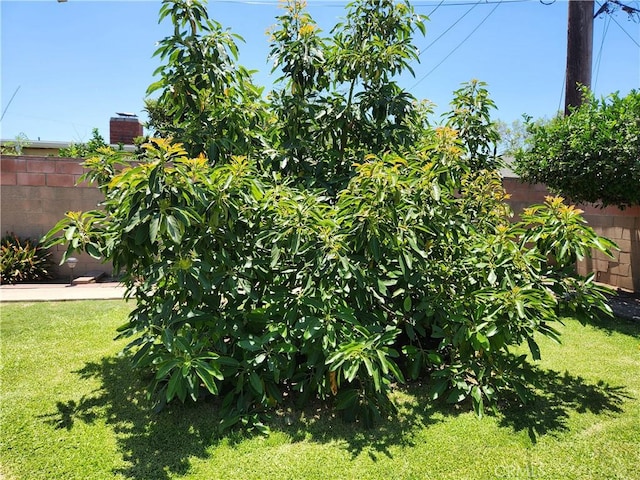 16708 Lawnwood St, La Puente, CA 91744 - view of yard